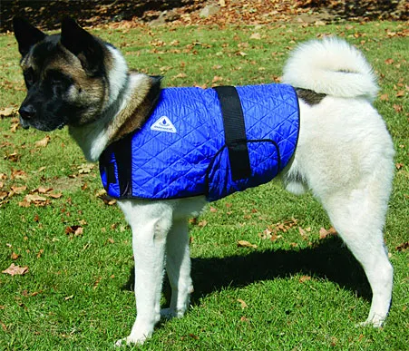 HyperKewl Evaporative Cooling Dog Coat