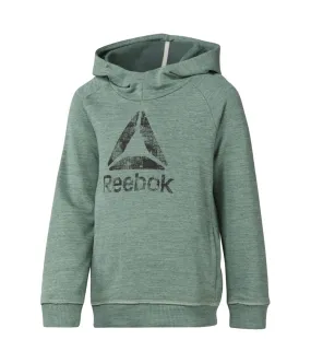 Reebok Boys Logo Hoodie Sweatshirt, TW3