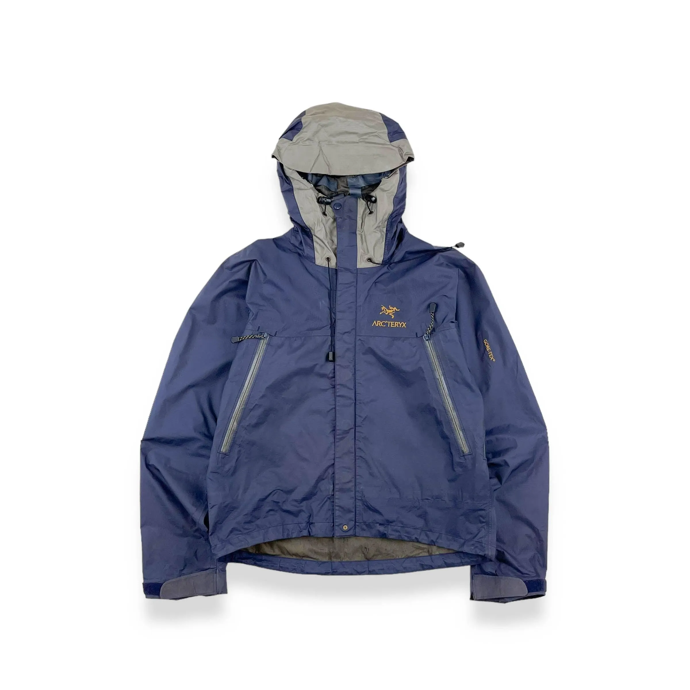 Vintage Arc'teryx Beta LT (M)