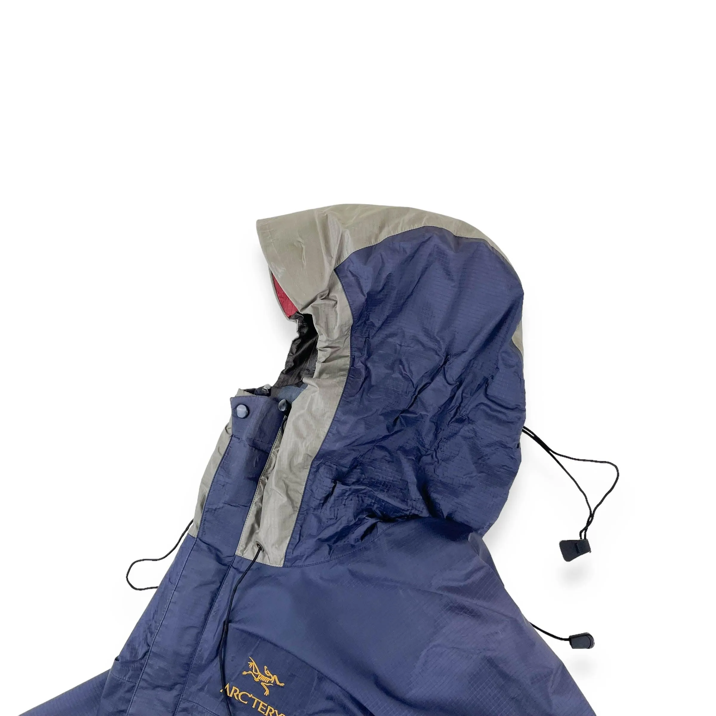 Vintage Arc'teryx Beta LT (M)